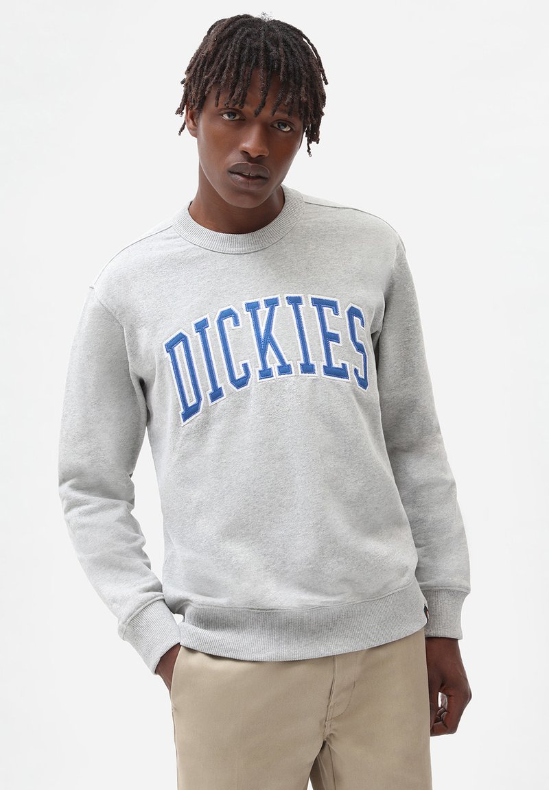 Felpa grigia con ricamo blu della scritta "DICKIES". Design classico a girocollo con inserto a coste sul collo e sui polsini. Textura liscia.