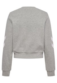 Grauer Sweatshirt aus weichem Baumwollmischgewebe, mit verkürztem Schnitt, rundem Ausschnitt und weißen Streifenelementen an den Ärmeln.