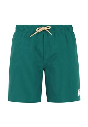 Turkooizen heren zwemshorts met een elastische tailleband en een beige trekkoord, voorzien van een klein wit logovlekje op het linkerbeen.