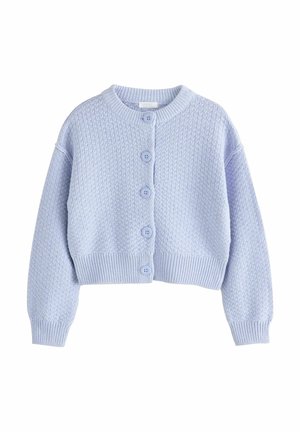 Cardigan tricoté en bleu clair avec un motif texturé, col rond et fermeture à boutons comportant quatre boutons assortis et des poignets côtelés.