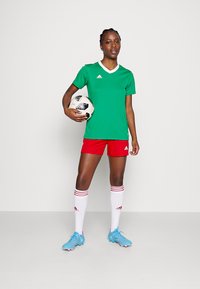 Zelený športový dres s bielym výstrihom, červené šortky, modré futbalové kopačky a biele ponožky s červenými pruhmi, drží čierno-biely futbalový loptu.