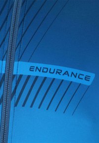 Endurance JILLARD FUNKTIONELLES RADSPORT - Wielershirt - brilliant blue