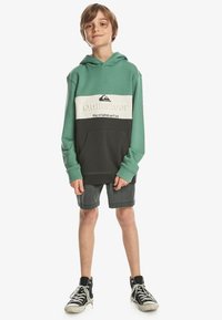 Quiksilver - EMBOSS BLOCK HOODIE YOUTH - Felpa con cappuccio - gmp0 Immagine in miniatura 1