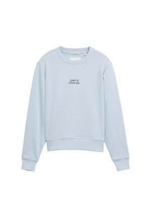 Lichtblauwe, lange mouwen sweatshirt van zachte stof. Heeft een ronde hals en bedrukt met de tekst "WAT IS ER AAN DE HAND" op de voorkant.