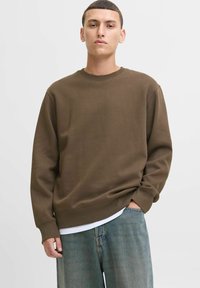 Bruine katoenen sweater met lange mouwen, geribbelde ronde hals en boorden. Draag over een witte T-shirt, gecombineerd met lichtblauwe jeans.