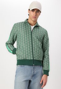 Green zip-up jacket with geometric pattern, ribbed cuffs and hem, accented by white and green stripes on sleeves. Paired with light denim jeans.