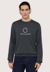 Mörkgrå stickad tröja med långa ärmar, rund halsringning och TRUSSARDI-logotyp i ljusgrått. Ribbad mudd och fåll. Mjuk textur.