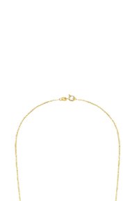 Collana in oro con un design delicato e sottile. Presenta un moschettone per la chiusura e una superficie liscia con una lucentezza uniforme.