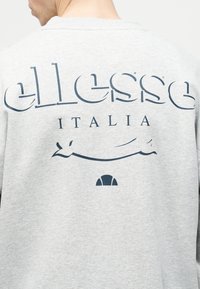 Personne portant un sweat-shirt gris clair avec un grand logo "ellesse ITALIA" bleu marine et un emblème sur le haut du dos, dos tourné vers la caméra.