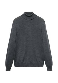 Pullover - grey