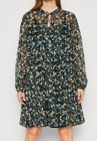 Šaty s květinovým potiskem, průsvitné, tmavě zelené, dlouhými rukávy, s výstřihem ve tvaru klíčové dírky a vrstvou volánů na spodním lemu. Mají světle hnědé a modré akcenty.