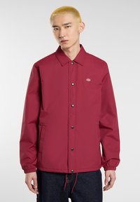 Dickies OAKPORT COACH - Summer jacket - tibetan red