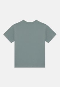 Hellgrünes Baumwoll-T-Shirt, Rundhalsausschnitt, kurze Ärmel, einfarbig, glatte Textur, keine sichtbaren Grafiken oder Muster, simples Design.