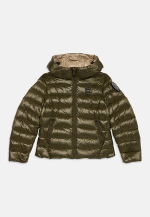CHARME JUNIOR - Dunjakker - green wood/beige