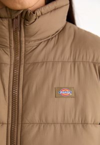 Rudas izoliuotas liemeniukas su aukštu apykakle ir užtrauktuku. Funkcijos tekstūruotas paviršius ir stačiakampis logotipo pleistras su „Dickies“ prekės ženklu.
