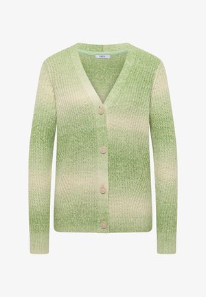 Lichtgroene gebreide cardigan met een verloopdesign, V-hals, zes knopen aan de voorkant en geribbelde manchetten en zoom.