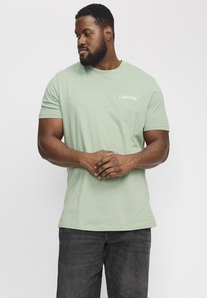 EBRADLEY GRAPHIC TEE SS O-NECK  - T-shirt print - iceberg green