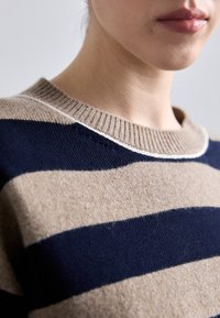 Šviesiai rudas ir tamsiai mėlynas dryžuotas megztinis su raštuotu kaklu ir tekstūrine apdaila, turintis kontrastingus baltus akcentus aplink apykaklę.