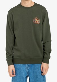 Groene sweatshirt van zachte stof met een ronde hals en geribbelde manchetten, voorzien van een kleurrijke grafische logopatch op de linkerborst.