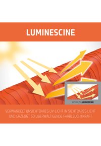 Immagine in miniatura 3