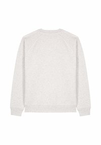 Sweatshirt gris clair à manches longues, épaules raglan, poignets et ourlet côtelés. Texture douce, design simple, sans logo ni motifs visibles.