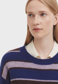 Striped sweater in blue, purple, and brown. Knit texture with a crew neckline, layered over a white collared shirt. Simple design.
