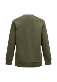Olijfgroene sweatshirt, zachte stof, ronde hals, lange mouwen, geribde boorden en zoom, minimalistisch ontwerp zonder patronen of accenten.