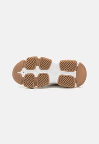 Steve Madden POSSESSIONE - Sneakers - oatmeal