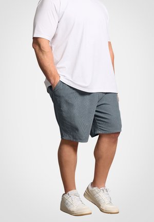 Mand iført hvid kortærmet skjorte, blå shorts til knæet, hvide sneakers, står med hænderne i lommerne.