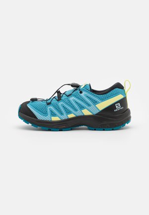 XA PRO V8 UNISEX - Hiking shoes - delphinium blue/black/charlock