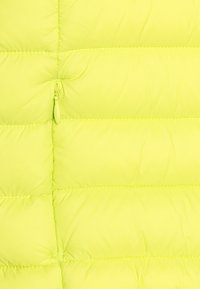 Save the duck DONY UNISEX - Giacca invernale - lichen green