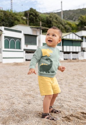 Groene sweatshirt met dinosaurustekening, gele accenten; gecombineerd met gele shorts. Bruine sandalen. Zandstrand op de achtergrond met witte structuren.