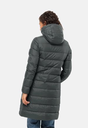 Jack Wolfskin EISBACH - Winter coat - hazelnut brown/brown