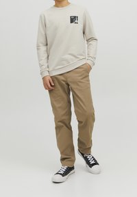 Jack & Jones Junior JCOFILO  CREW NECK SN JNR - Felpa - moonbeam