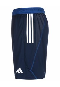 Marineblauwe trainingsshorts van lichtgewicht stof, met witte zijkanten, meshpanelen en een elastische tailleband met een trekkoord.