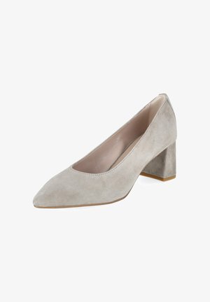 Lichtgrijze suède damesschoen met puntige neus en blokhak, schuin naar links weergegeven op een witte achtergrond.