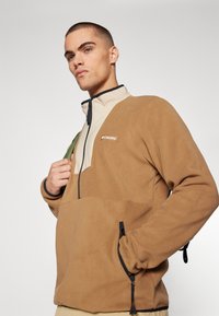 Columbia SEQUOIA GROVE™ HALF ZIP - Fleecetrøjer - delta/ancient fossil/black
