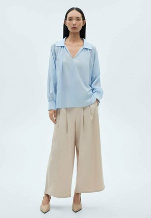 Light blue, long-sleeve blouse with a V-neck and wide collar; paired with beige, pleated wide-leg trousers and nude pointed heels.