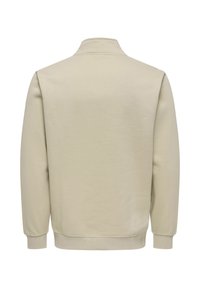 Sweat-shirt beige à manches longues avec poignets et ourlet côtelés, vu de dos, avec un col rond haut.
