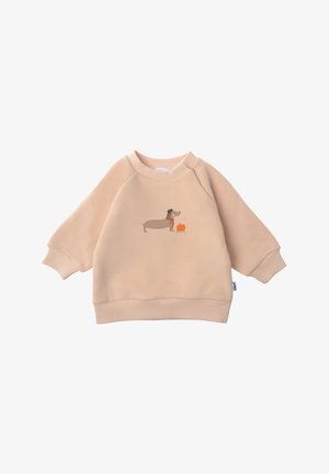 Light beige sweatshirt with raglan sleeves. Features a graphic of a dachshund and pumpkin. Soft fabric with ribbed cuffs and hem.
