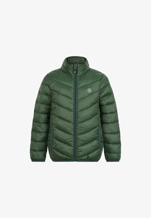 PACKABLE - Giacca invernale - cilantro