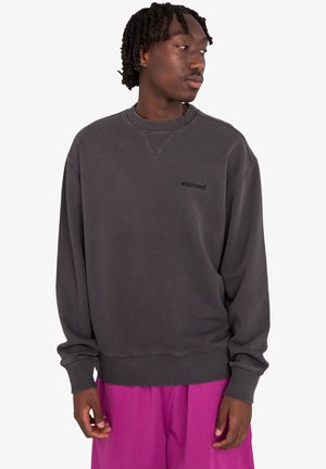 CORNELL - Sweatshirt - grey