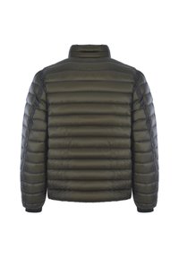 Giacca imbottita verde oliva, con un design trapuntato, colletto alto e polsini elasticizzati. Tessuto liscio con dettagli di cucitura nascosti.