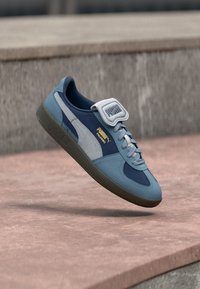 Blå och grå sneaker med en strukturerad överdel, mocka detaljer, rundad tå och gummisulor. Har en framträdande logotyp på sidan.