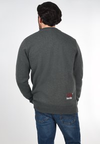 Grijze sweatshirt met een ronde hals, lange mouwen en geribbelde boorden. Heeft een klein rood geborduurd logo met "Sinds 1993" op de achterkant.