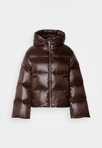 JACKET SHINY WITH HOOD WIDER SLEEVE - Casaco de penas - shaded brown