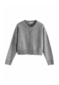 CREW NECK  - Adīta jaka - grey