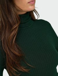 ONLY ONLKAROL ROLL NECK - Jumper - scarab