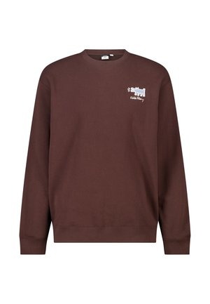 America Today, SWEATERS & CARDIGANS - Sweatshirt - brown