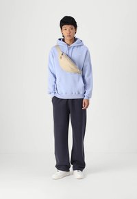 Hollister Co. Relaxed Logo Hoodie - Sportinis megztinis - blue huron